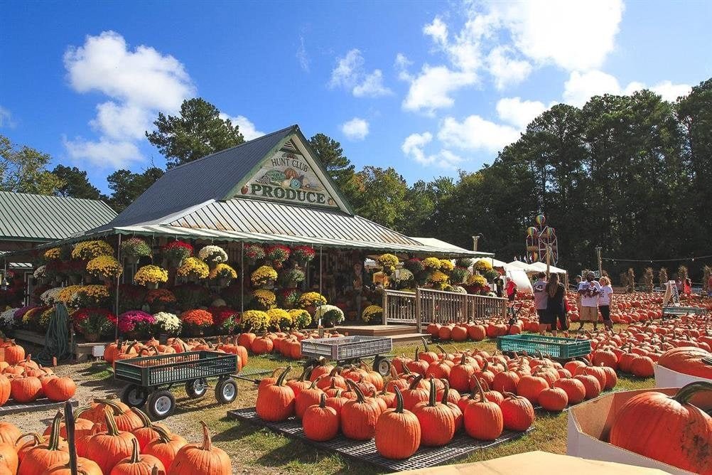 Hunt Club Farm